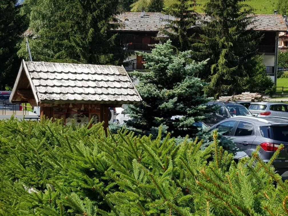 The Italy-Switzerland Border