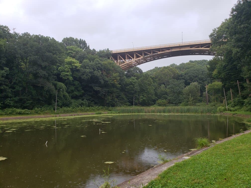 Schenley Park