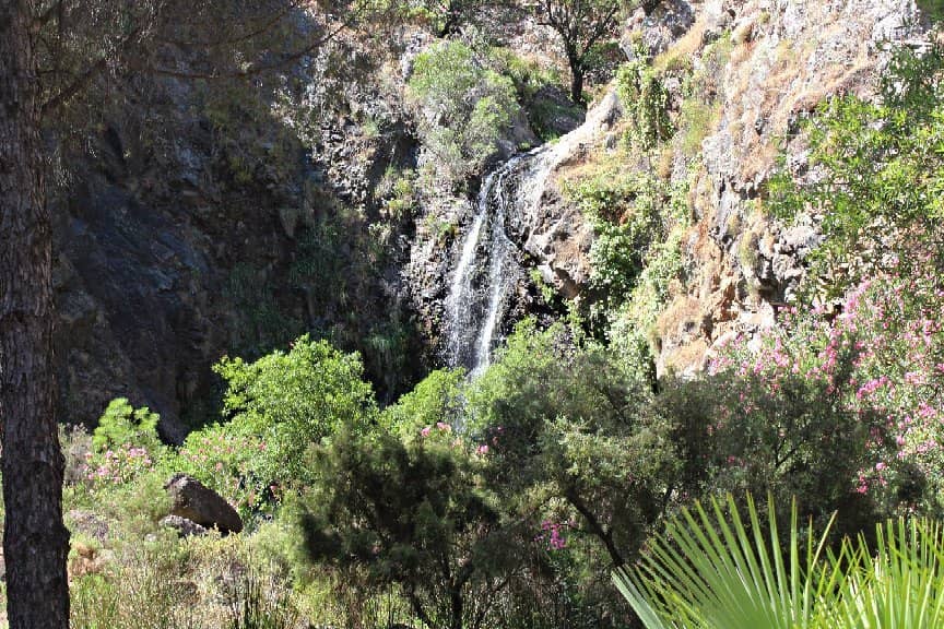 Tranquil Natural Setting