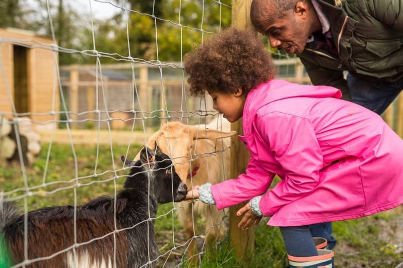 Historic Farmhouse and Gardens