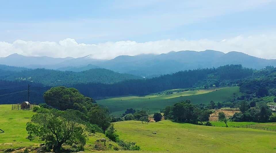 Wenlock Downs 9th Mile