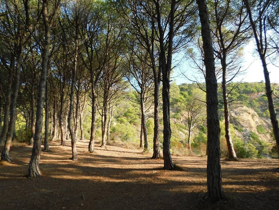 Camí de Ronda Trail