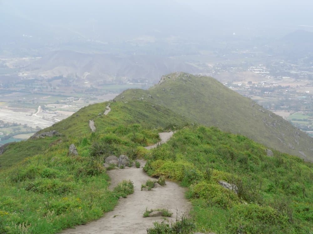 Lomas de Lúcumo Lima