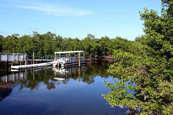 Mangrove Trails