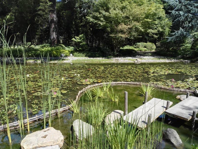 Japanese Garden
