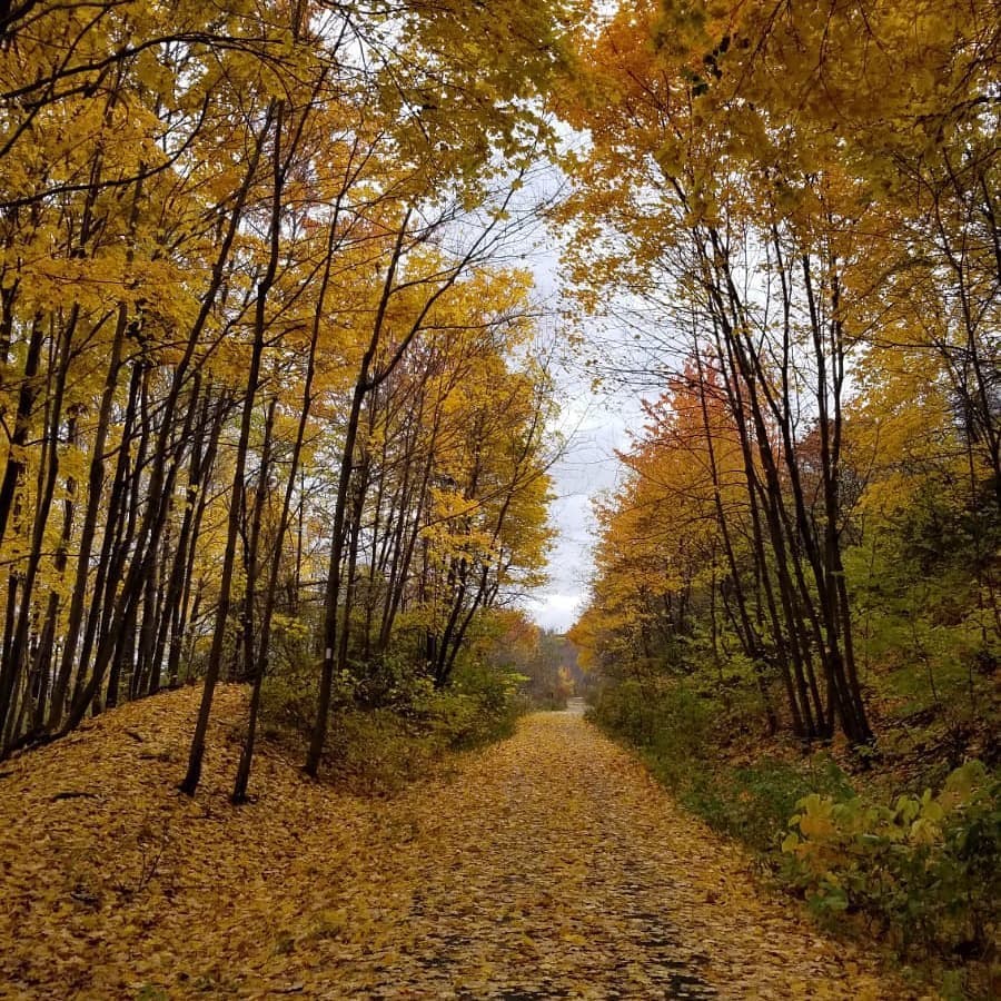 Escarpment Rail Trail