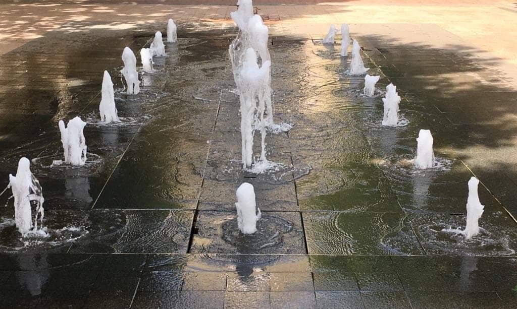 Diverse Dining Options