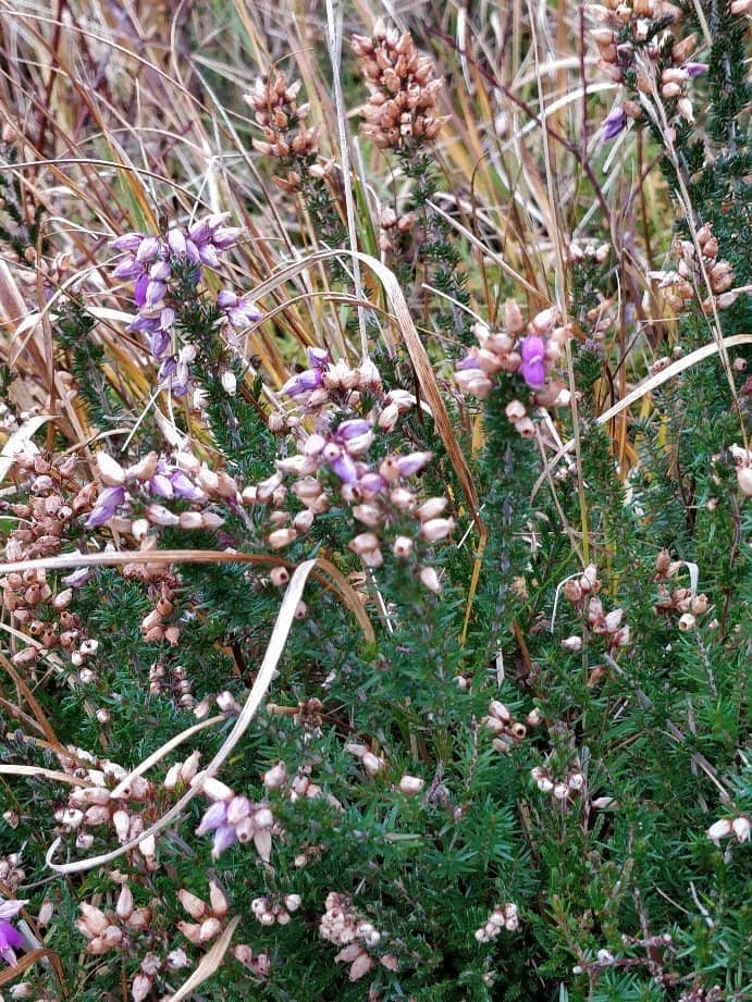 Breathtaking Coastal Views