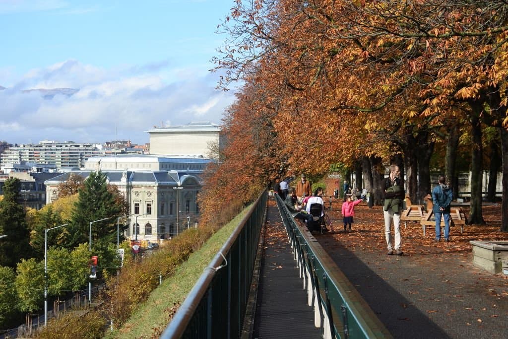 Скамья де ля Трей