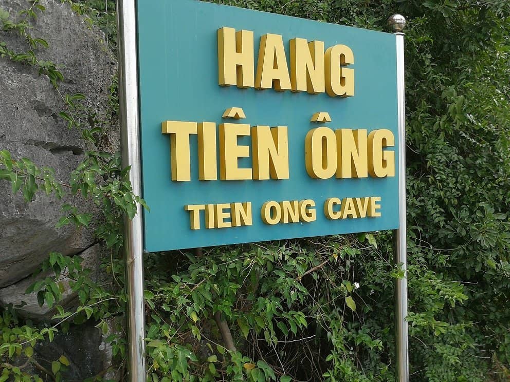 Pristine Island Landscape