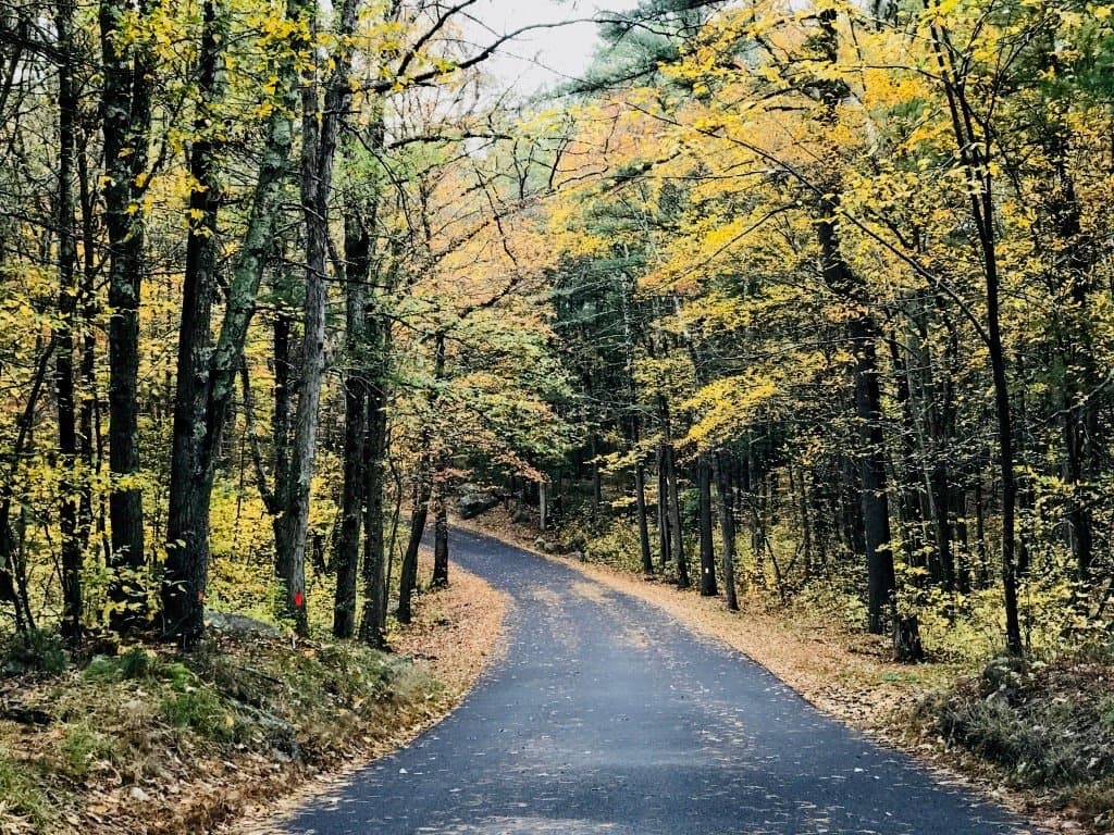 Lakeview Rd. Foxboro MA