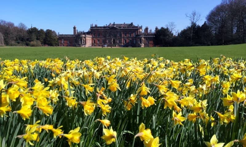 The 'Pemberley' Connection