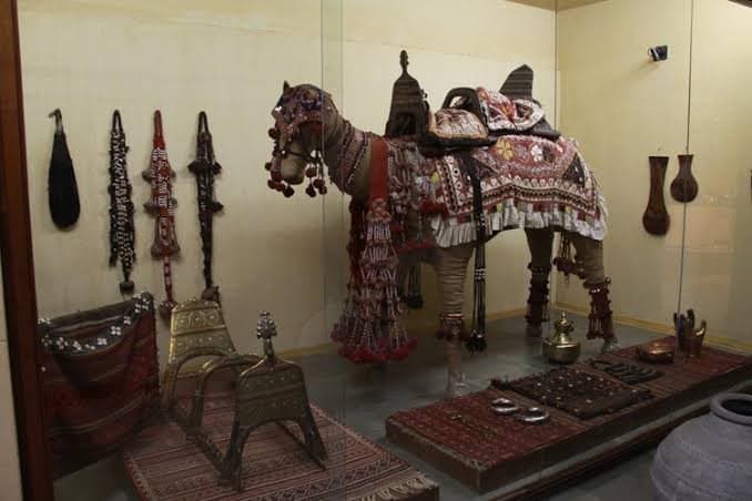 Best Capture of museum