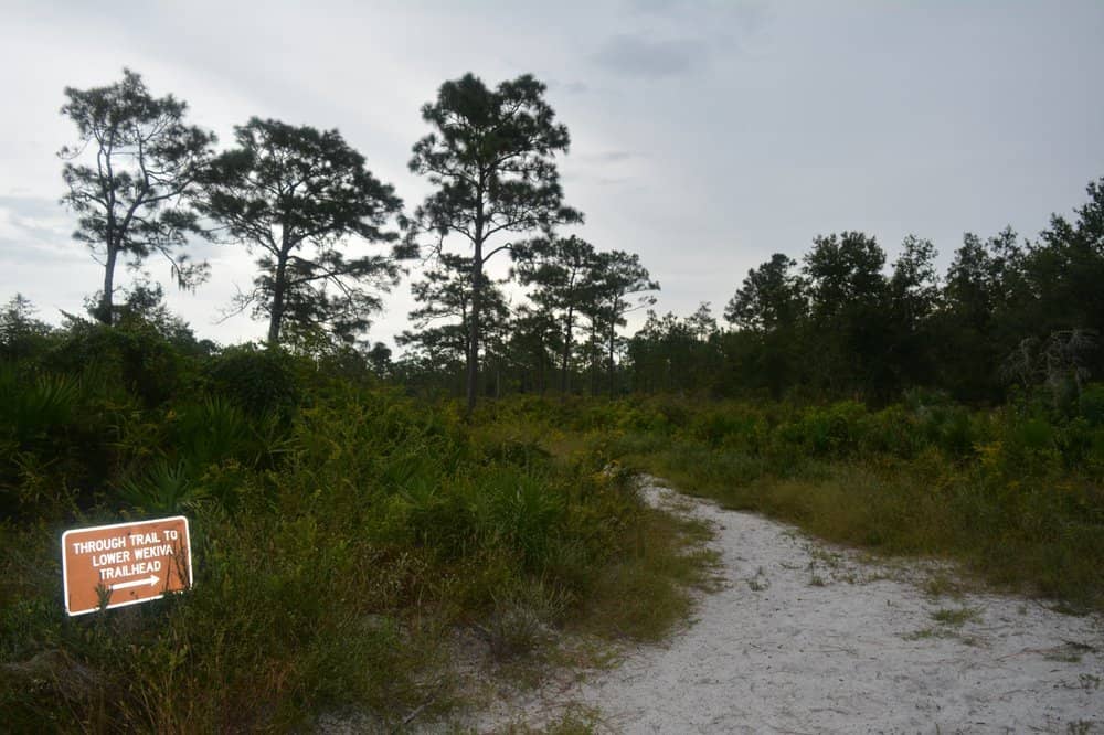 Hiking Diverse Trails