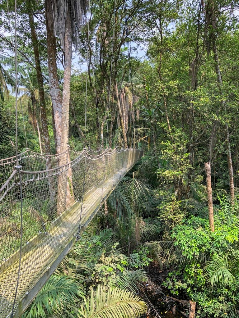 The swaying of the walkways takes some getting used to but the elevated view is fabulous.