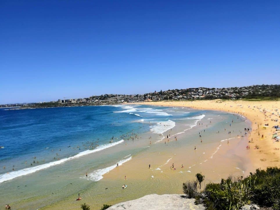 Curl Curl Beach from above.