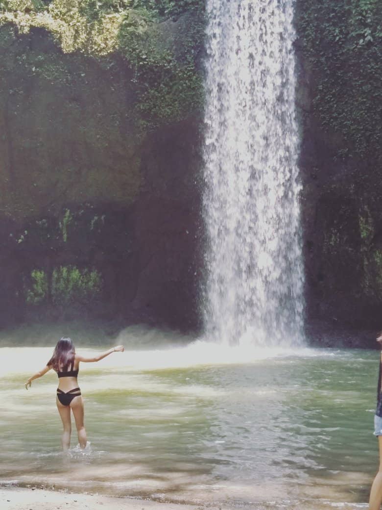 The Iconic Coconut Tree Road