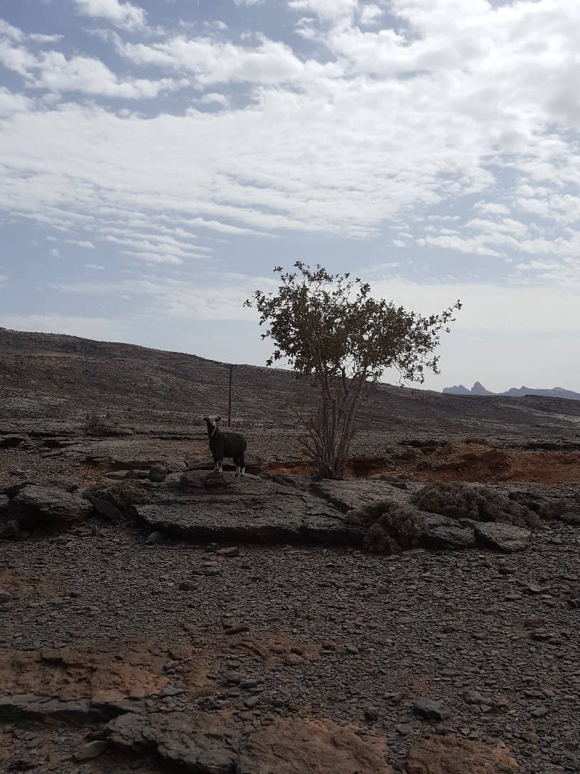 Balcony Walk (W6 Trail)