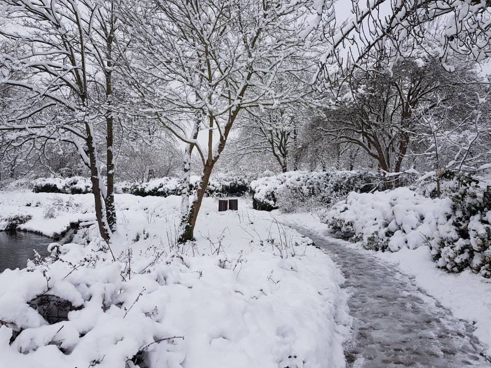 Picturesque Lake Views