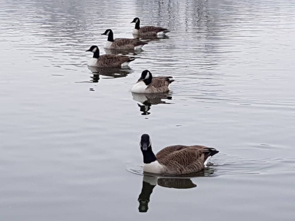 Sports and Recreation Zones