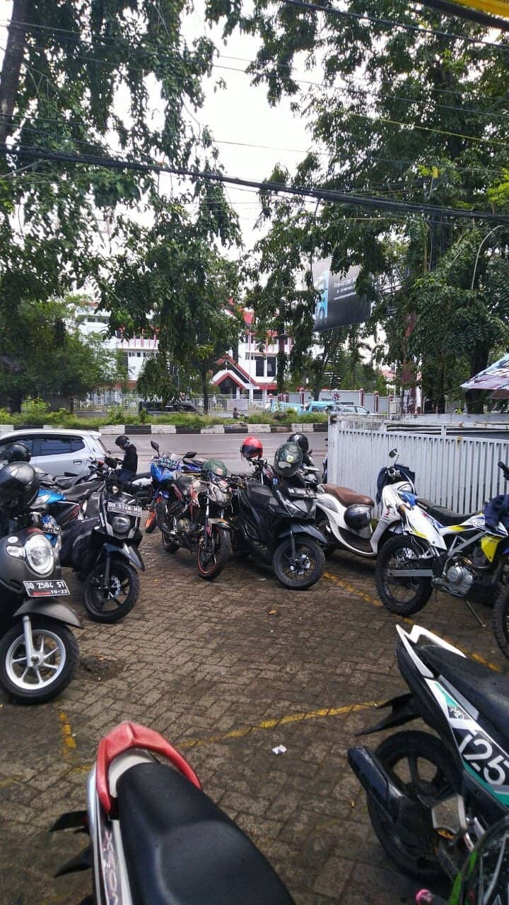 Calming Natural Atmosphere