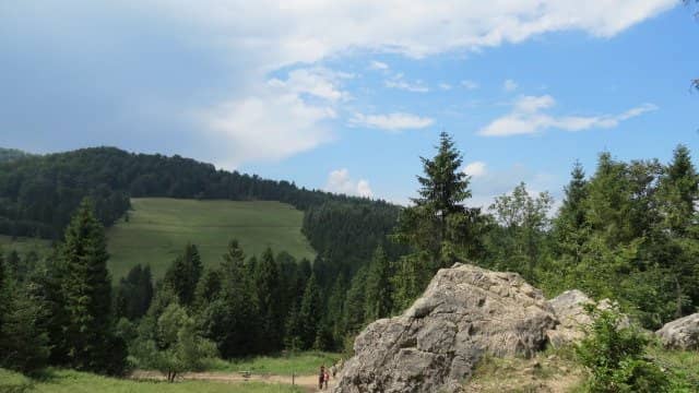 Cascading Kamionka Stream