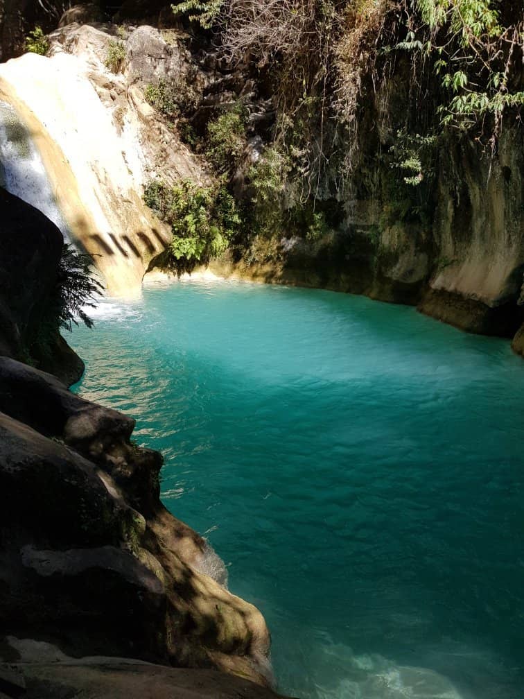 Local Artisan Vendors