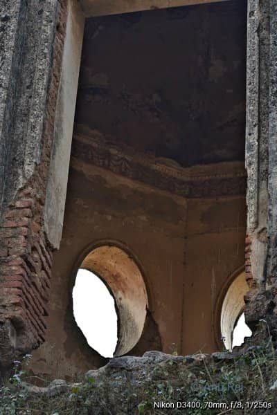 Vertical photo