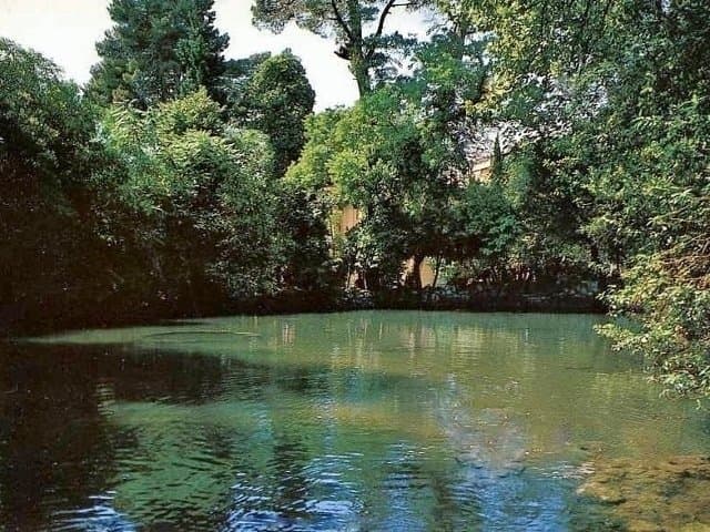 Un angolo del parco