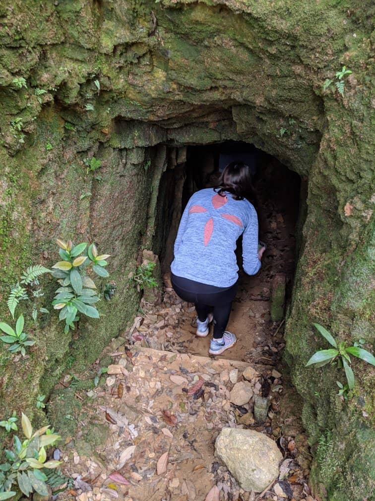 Birdwatching Paradise