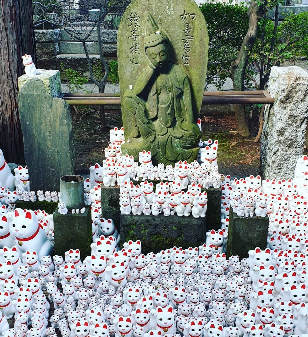 The Lucky Cat Train