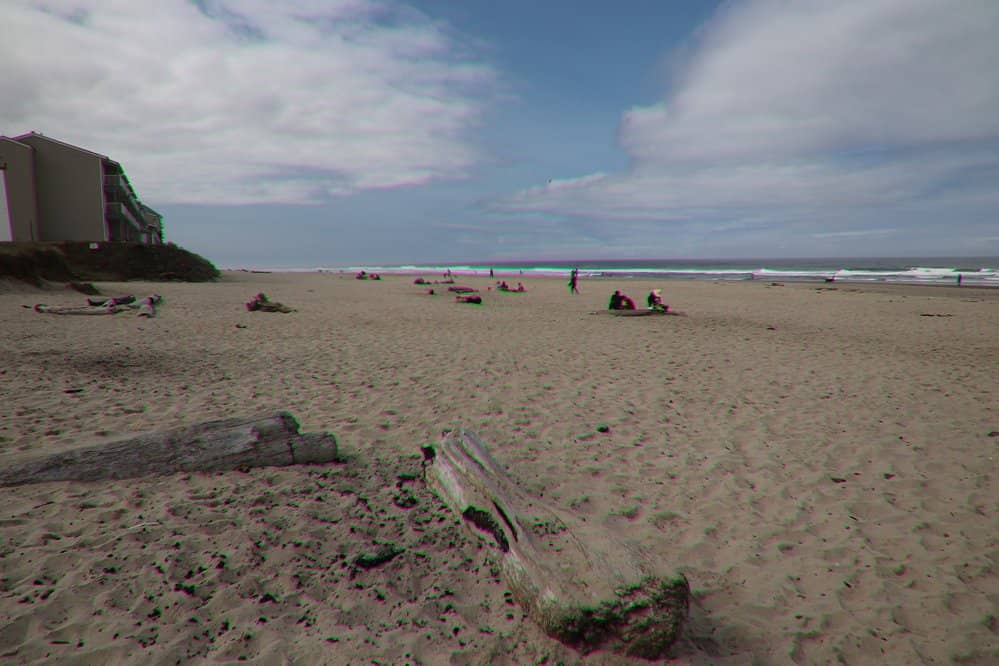 Beachcombing & Tide Pools