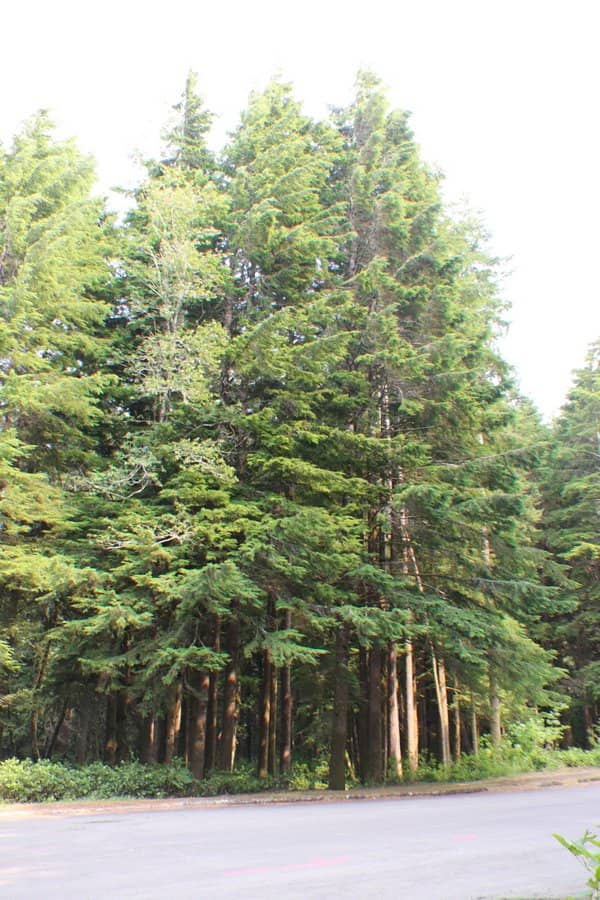 Golden Hour on the Bluffs