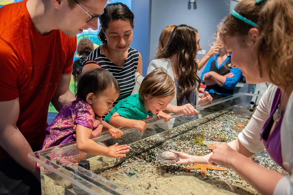 The Murphy Ocean Gallery explores the essential role the Ocean plays in the welfare of our planet through wet, wild, and wondrous interactive exhibits.