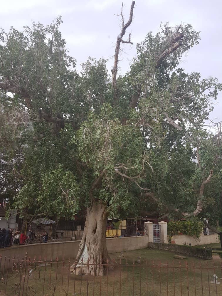 Spiritual Reflection