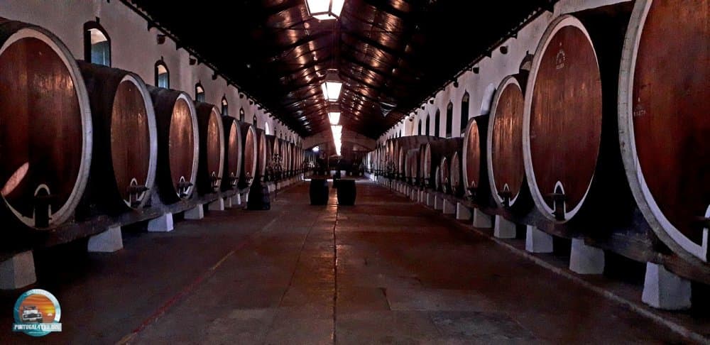 Wine Tasting Lovers!!??