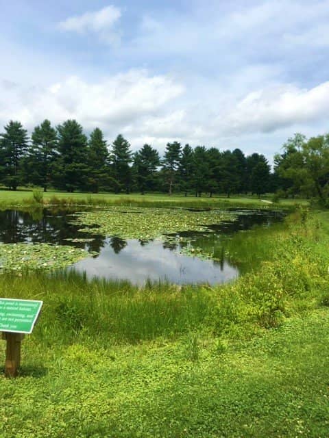 Dual-Zone Playground