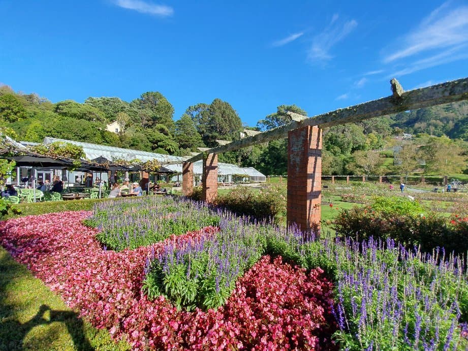 Lady Norwood Rose Garden