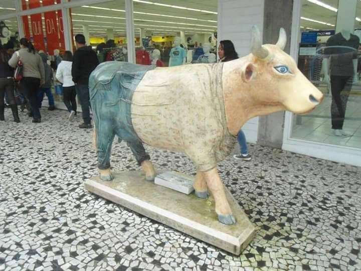 Hering Family Journey