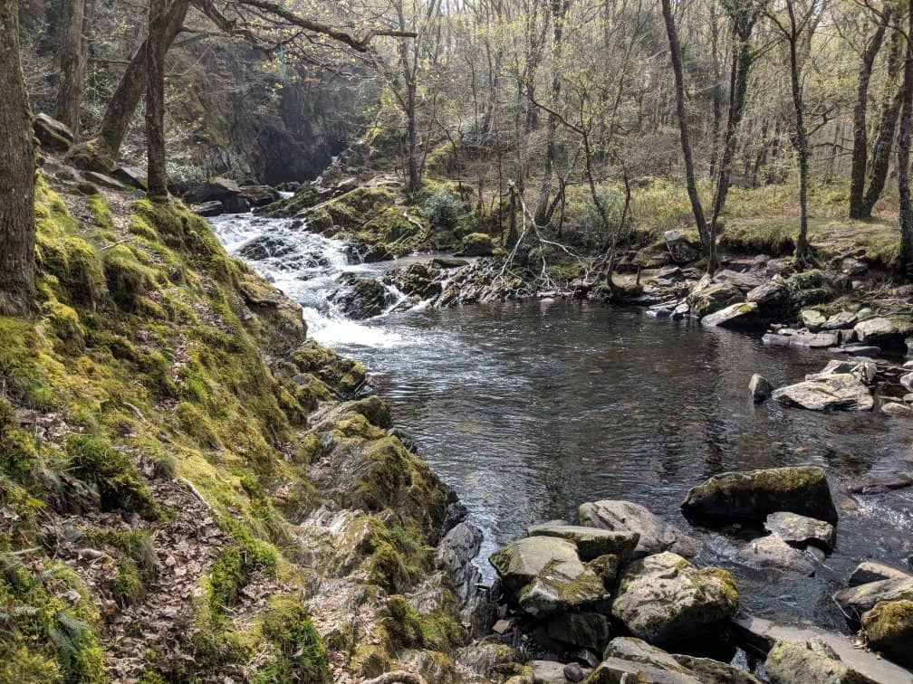 Cascading Waterfalls