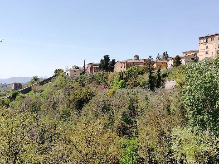 Orto Botanico dell'Università di Siena