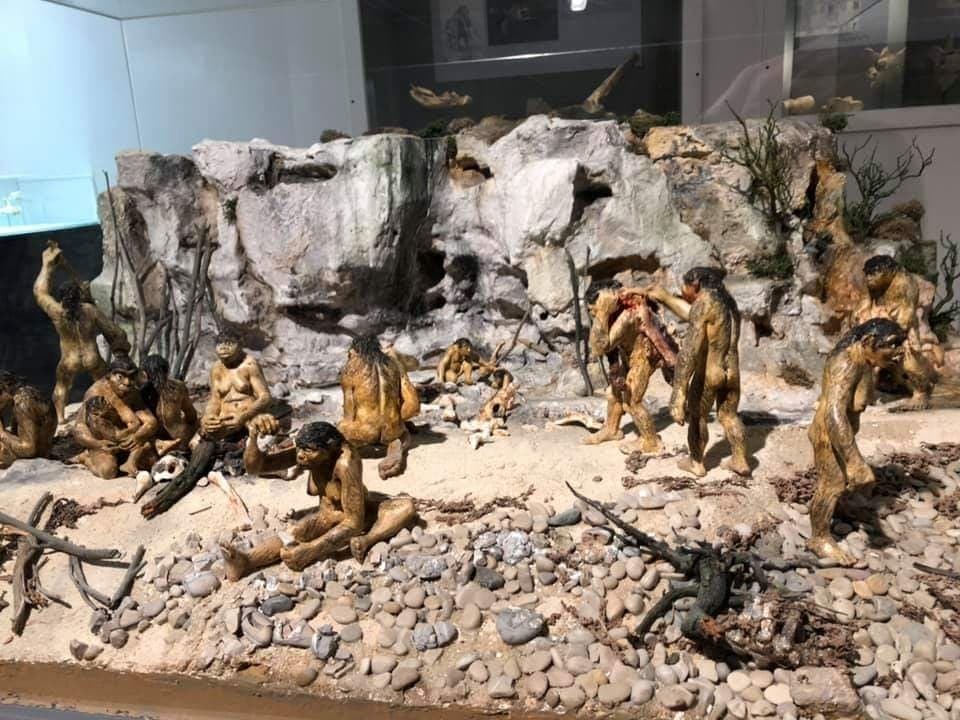 Terra Amata Prehistory Museum Nice