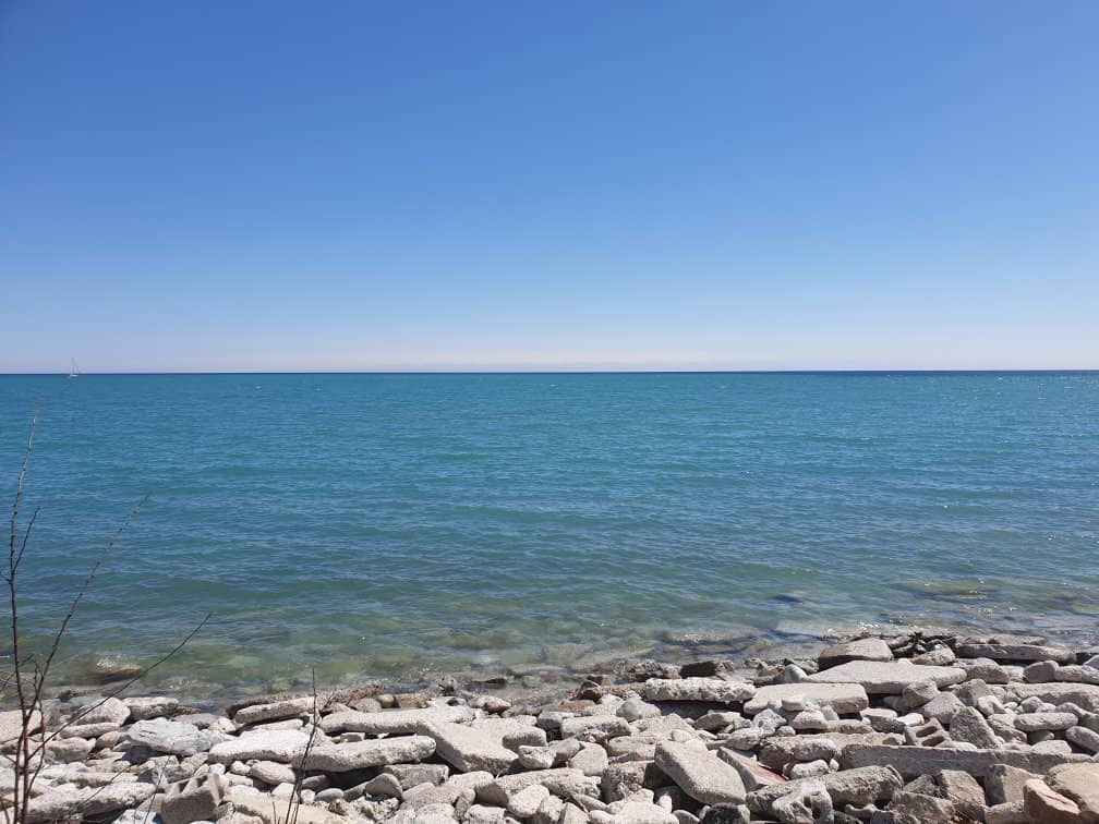 Bluffer's Park Marina