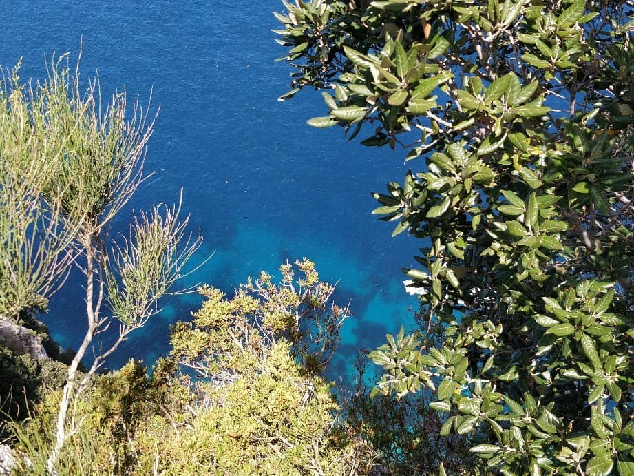 Historical Immersion