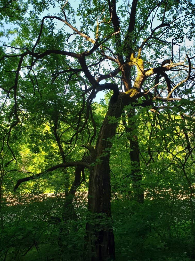 Cumberland River Blueway