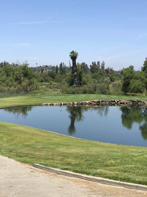 Beautifully Maintained Greens