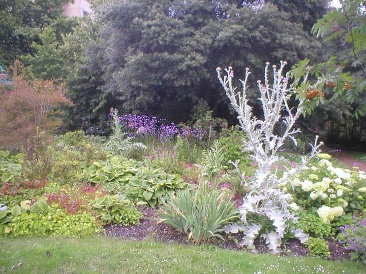 The Italianate Courtyard