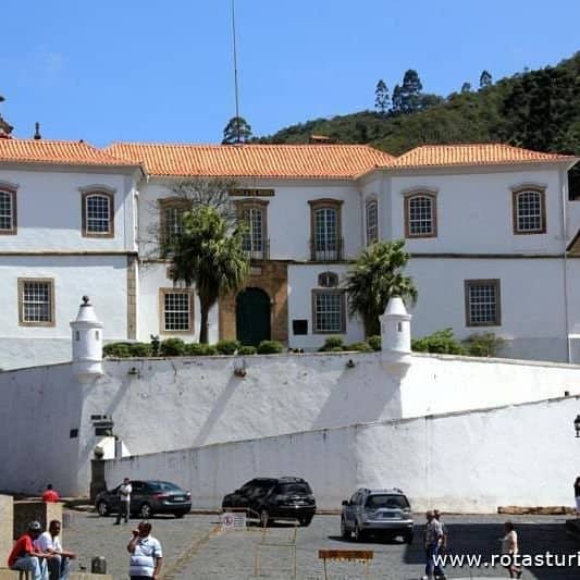 Natural Sciences Exhibits