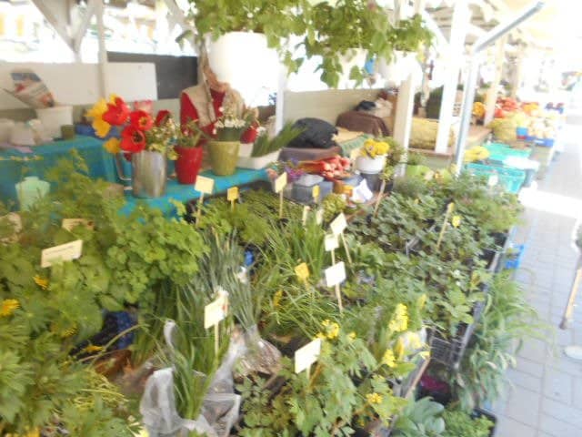 Artisan Crafts & Goods