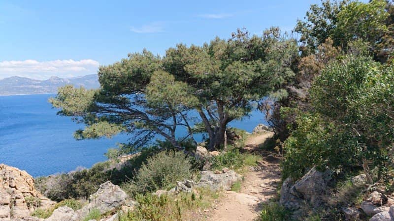Secluded Bay